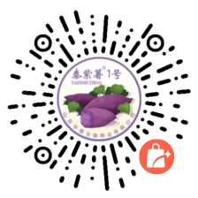 掃一掃
